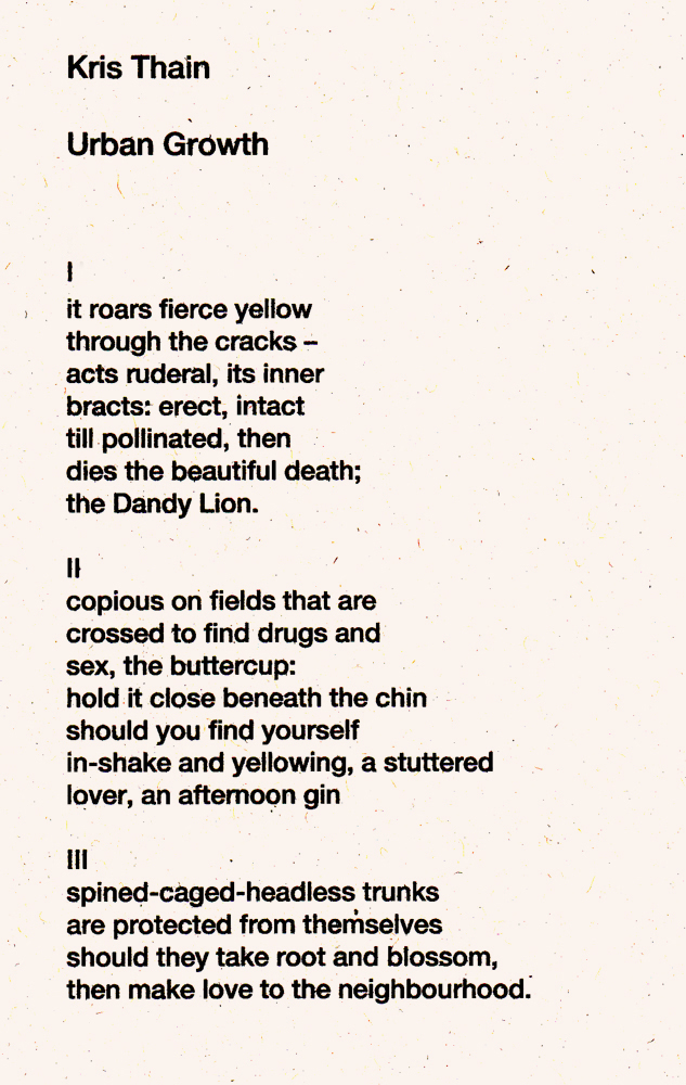 kris thain, poem, urban growth