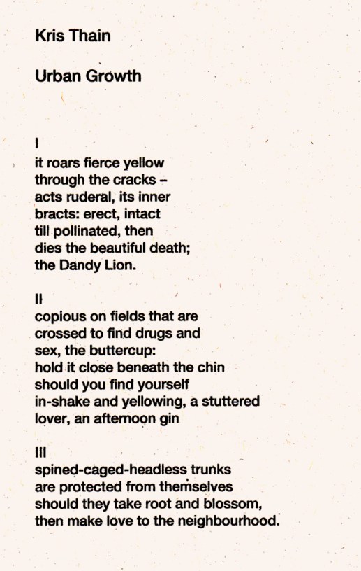 kris thain, poem, urban growth